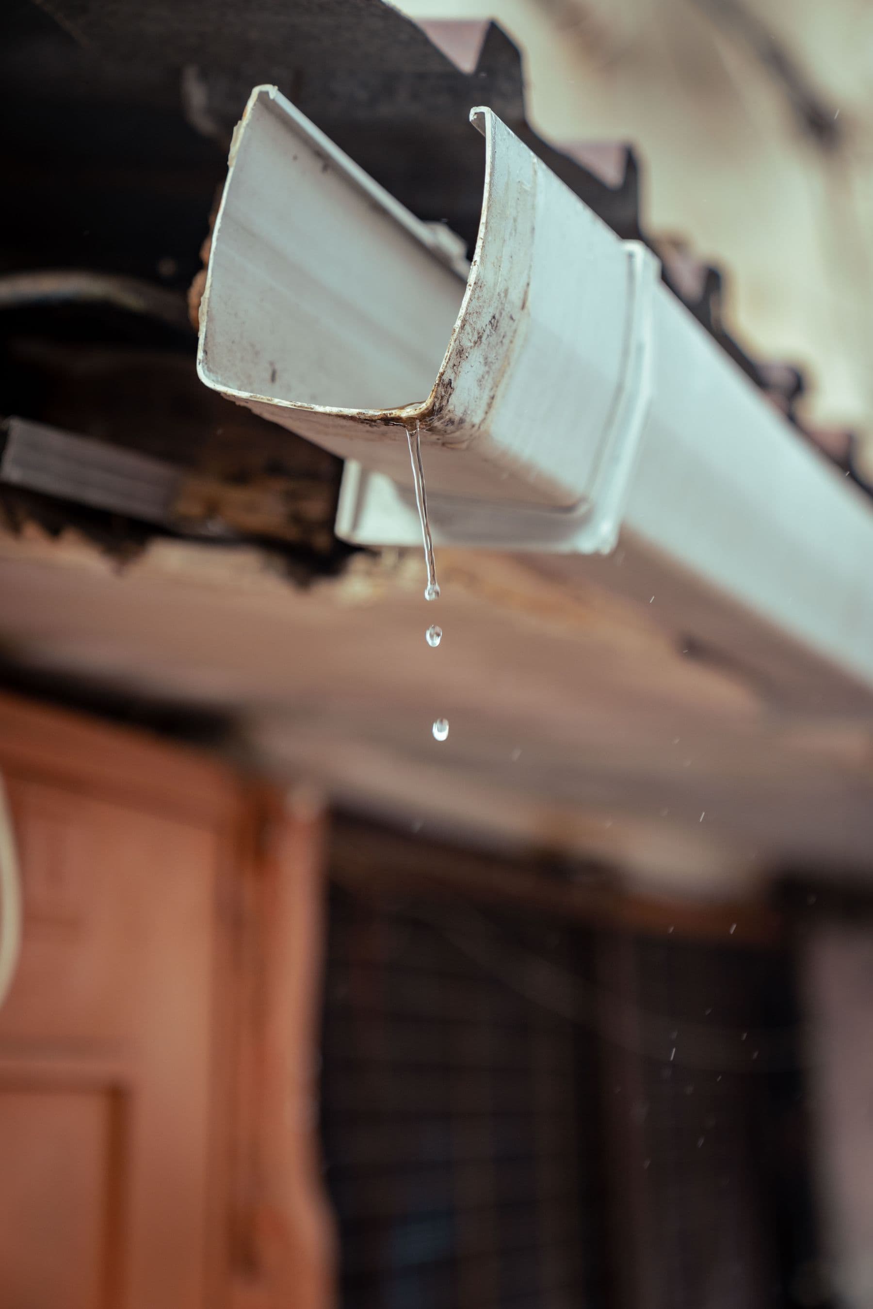Small trough, big job: protecting your whole home